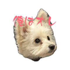 Retro_20260410083100