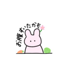 rabbit_20260406160050