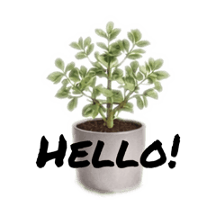 shige_20260406182519