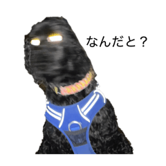 daiking_20260410190935