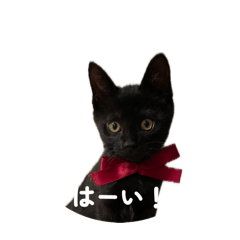 anchan_20260410190146