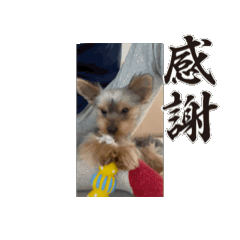 MASAKI_20260410160126jdm