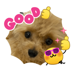 takio_20260410153955