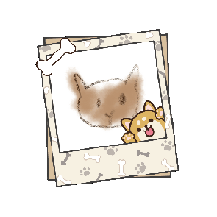 sasakihoneko_20260410191742