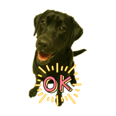 Ten No Hengi_20260410192054