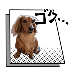 Tsuna_20260410192316