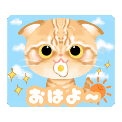 Ashlay_20260410164144