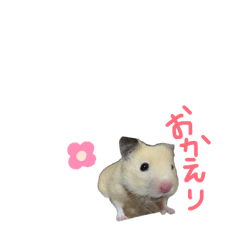 Karifurawa_20260410193444