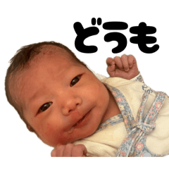 haseyan_20260410192213