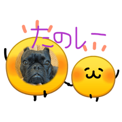 mr.sosuke_20260410181213