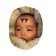 ikeoji_20260410180852