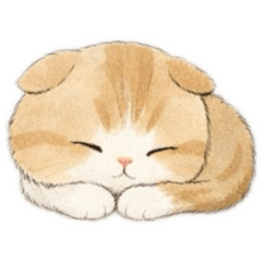 Animals sleeping peacefully part5(cat)