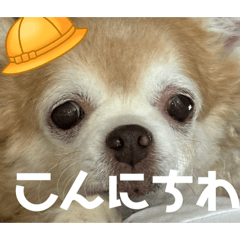 Nananananananananyoooo