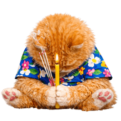 Meow Som is tense on Songk (No text)