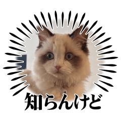 Hachan_20260410195240