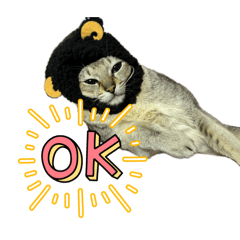 honoka_20260410195026