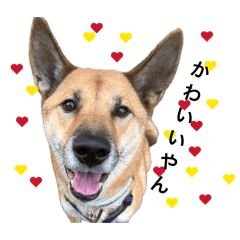 akubi_20260410195713