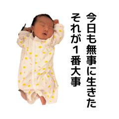 megami_20260410181651