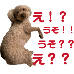 LANIo_20260409235835