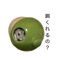 NAYONA_20260410204307