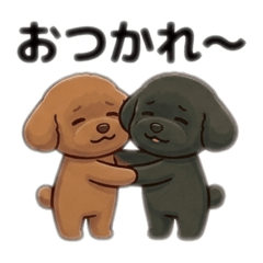 Hello to friends toy poodle