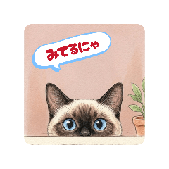 haru13_20260410204812