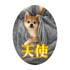 sadawo_20260410204151