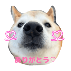 Kirarinn_20260410205607