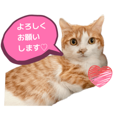 mirukun_20260410205529