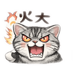 美短晶晶，妳好