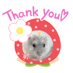 Maru maru cute stickers