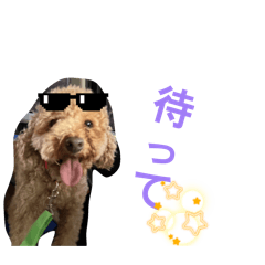 toypoo_20260410183114