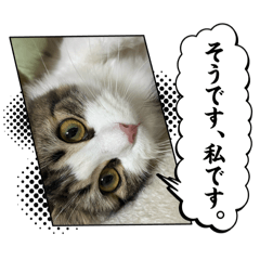 yuipyon_20260410183816