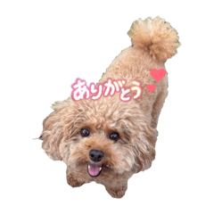 Kana_20260410194527