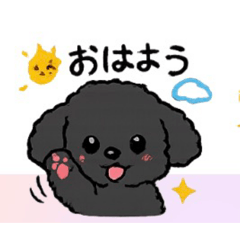 Wanchi_20260410211849