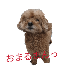 maruc!_20260410212444