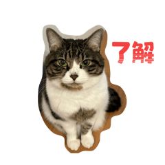 namiri0909_20260410211929