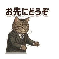 animaldriver(CAT)all