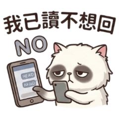 ★大貼圖★上班族貓貓 我已讀不想回