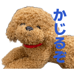 soma aura_20260410200110