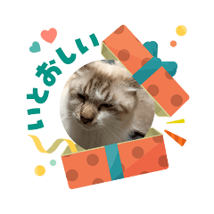 skfamily_20260410201215