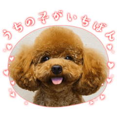 Hachan_20260410201509