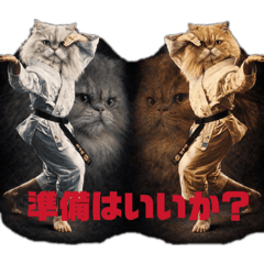 mekokarate