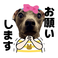 tomokichiii_20260410200842