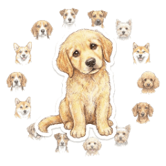 可愛動物村 - 狗勾圖鑑