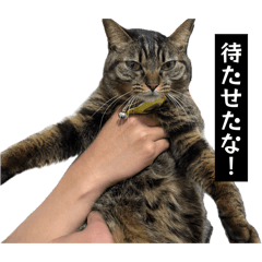 Utyan_20260410163949