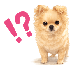 sisimaru_20260410164701