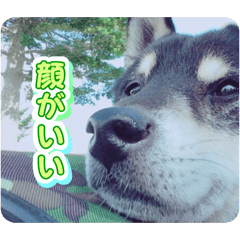 misato_20260410202610