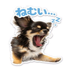 loulou_20260410203458