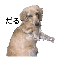 Yyyuki_20260410202521